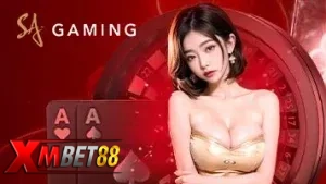 baccarat (4)